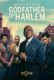 دانلود سریال Godfather of Harlem 2019